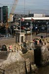 Click on one of the size names above to enlarge this image Click on one of the size names above to enlarge this image