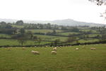 Click on one of the size names above to enlarge this image Click on one of the size names above to enlarge this image