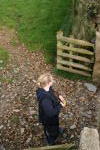 Click on one of the size names above to enlarge this image Click on one of the size names above to enlarge this image