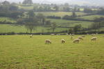 Click on one of the size names above to enlarge this image Click on one of the size names above to enlarge this image