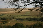 Click on one of the size names above to enlarge this image Click on one of the size names above to enlarge this image
