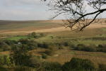 Click on one of the size names above to enlarge this image Click on one of the size names above to enlarge this image