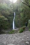 Click on one of the size names above to enlarge this image Click on one of the size names above to enlarge this image