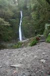 Click on one of the size names above to enlarge this image Click on one of the size names above to enlarge this image