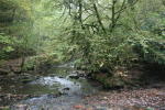 Click on one of the size names above to enlarge this image Click on one of the size names above to enlarge this image