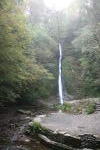 Click on one of the size names above to enlarge this image Click on one of the size names above to enlarge this image