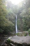 Click on one of the size names above to enlarge this image Click on one of the size names above to enlarge this image
