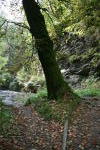 Click on one of the size names above to enlarge this image Click on one of the size names above to enlarge this image