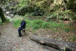 Click on one of the size names above to enlarge this image Click on one of the size names above to enlarge this image