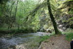 Click on one of the size names above to enlarge this image Click on one of the size names above to enlarge this image
