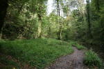 Click on one of the size names above to enlarge this image Click on one of the size names above to enlarge this image
