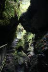 Click on one of the size names above to enlarge this image Click on one of the size names above to enlarge this image