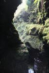 Click on one of the size names above to enlarge this image Click on one of the size names above to enlarge this image