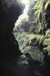 Click on one of the size names above to enlarge this image Click on one of the size names above to enlarge this image