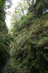 Click on one of the size names above to enlarge this image Click on one of the size names above to enlarge this image