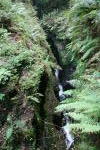 Click on one of the size names above to enlarge this image Click on one of the size names above to enlarge this image