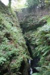 Click on one of the size names above to enlarge this image Click on one of the size names above to enlarge this image