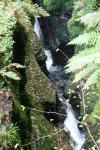 Click on one of the size names above to enlarge this image Click on one of the size names above to enlarge this image