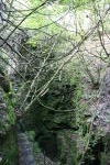 Click on one of the size names above to enlarge this image Click on one of the size names above to enlarge this image
