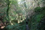 Click on one of the size names above to enlarge this image Click on one of the size names above to enlarge this image