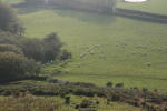 Click on one of the size names above to enlarge this image Click on one of the size names above to enlarge this image