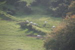 Click on one of the size names above to enlarge this image Click on one of the size names above to enlarge this image