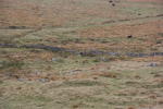 Click on one of the size names above to enlarge this image Click on one of the size names above to enlarge this image