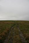 Click on one of the size names above to enlarge this image Click on one of the size names above to enlarge this image