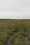 Click on one of the size names above to enlarge this image Click on one of the size names above to enlarge this image