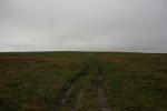 Click on one of the size names above to enlarge this image Click on one of the size names above to enlarge this image
