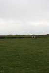 Click on one of the size names above to enlarge this image Click on one of the size names above to enlarge this image