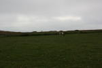 Click on one of the size names above to enlarge this image Click on one of the size names above to enlarge this image