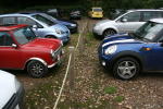 Click on one of the size names above to enlarge this image Click on one of the size names above to enlarge this image