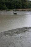 Click on one of the size names above to enlarge this image Click on one of the size names above to enlarge this image
