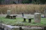 Click on one of the size names above to enlarge this image Click on one of the size names above to enlarge this image