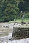 Click on one of the size names above to enlarge this image Click on one of the size names above to enlarge this image