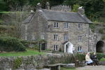 Click on one of the size names above to enlarge this image Click on one of the size names above to enlarge this image