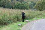 Click on one of the size names above to enlarge this image Click on one of the size names above to enlarge this image