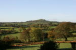 Click on one of the size names above to enlarge this image Click on one of the size names above to enlarge this image