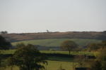 Click on one of the size names above to enlarge this image Click on one of the size names above to enlarge this image
