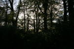 Click on one of the size names above to enlarge this image Click on one of the size names above to enlarge this image