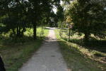 Click on one of the size names above to enlarge this image Click on one of the size names above to enlarge this image