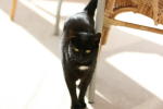 Click on one of the size names above to enlarge this image Click on one of the size names above to enlarge this image