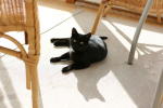 Click on one of the size names above to enlarge this image Click on one of the size names above to enlarge this image