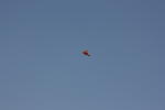 Click on one of the size names above to enlarge this image Click on one of the size names above to enlarge this image