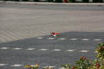 Click on one of the size names above to enlarge this image Click on one of the size names above to enlarge this image