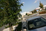 Click on one of the size names above to enlarge this image Click on one of the size names above to enlarge this image