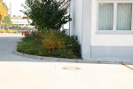 Click on one of the size names above to enlarge this image Click on one of the size names above to enlarge this image