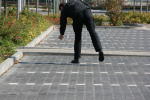 Click on one of the size names above to enlarge this image Click on one of the size names above to enlarge this image
