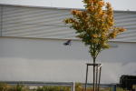 Click on one of the size names above to enlarge this image Click on one of the size names above to enlarge this image